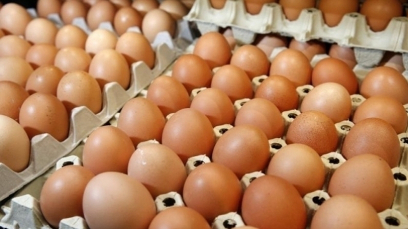 تونس: مراجعة أسعار المستهلك للبيض والدجاج بالزيادة