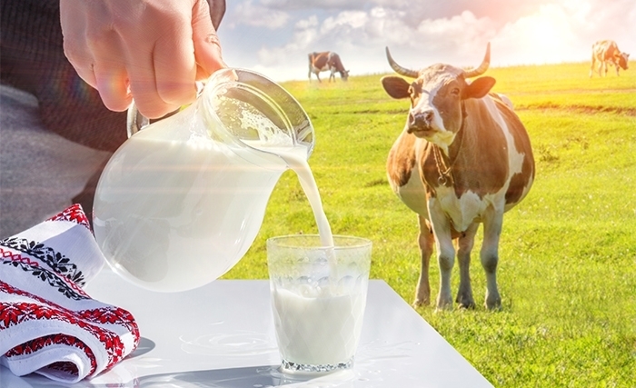 تونس: خمسة أسباب وجيهة على الأقل لتحرير سعر الحليب