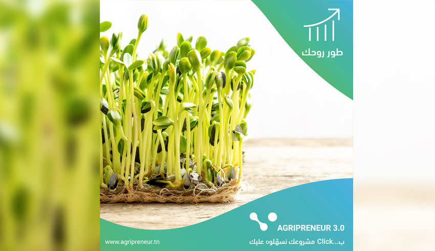 Agripreneur 3.0: رواد الأعمال الريفيين في المستقبل