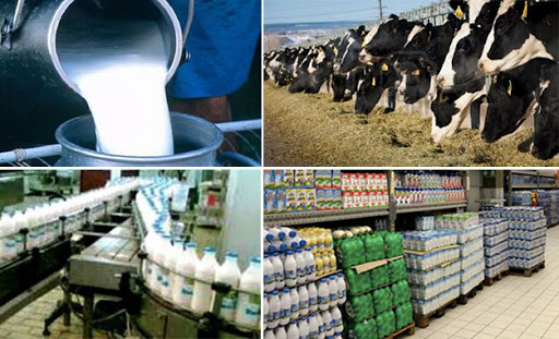 تونس: الحكومة تدرس كيفية إدارة وفرة مخزون الحليب ، ...