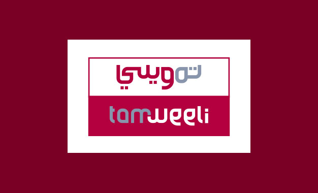 صفاقس: ندوة عبر الإنترنت حول برنامج تمويلي لمساعدة المقاولات الصغرى التونسية