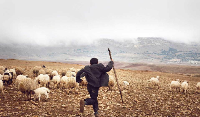 تونس: إصابة الراعي بانفجار لغم في مونت مغيلة