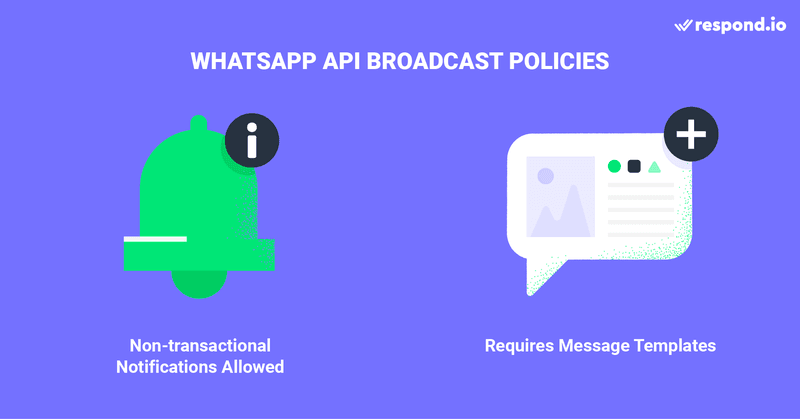 قواعد بث WhatsApp