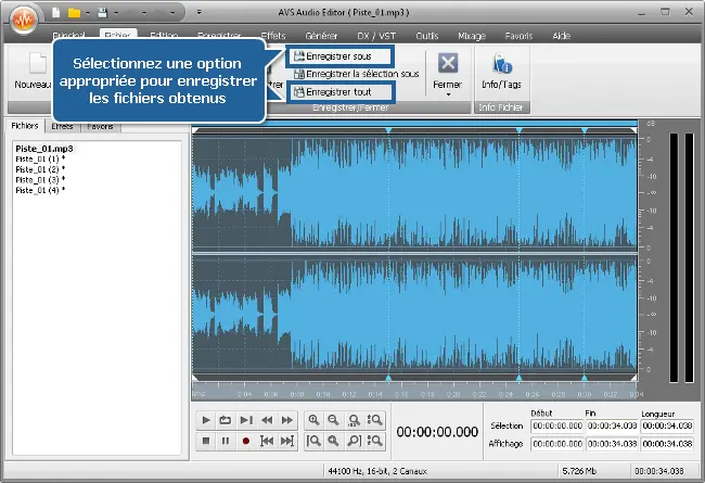 كيفية تقسيم ملف صوتي إلى عدة أجزاء باستخدام محرر الصوت AVS؟  الخطوة الخامسة