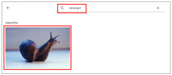 16 - صور Google مجانية وغير محدودة لتخزين الصور عبر الإنترنت - البحث عن الصور
