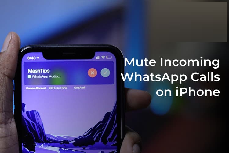 كتم مكالمات WhatsApp الواردة على iPhone F - كيفية كتم صوت مكالمات WhatsApp على iPhone