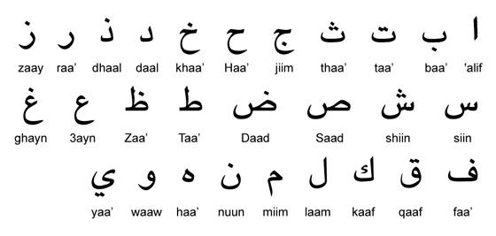 الأبجدية العربية