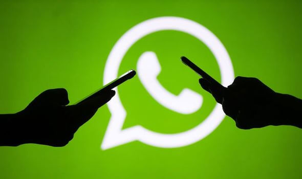 تصدير مجموعة من جهات الاتصال من whatsapp 1