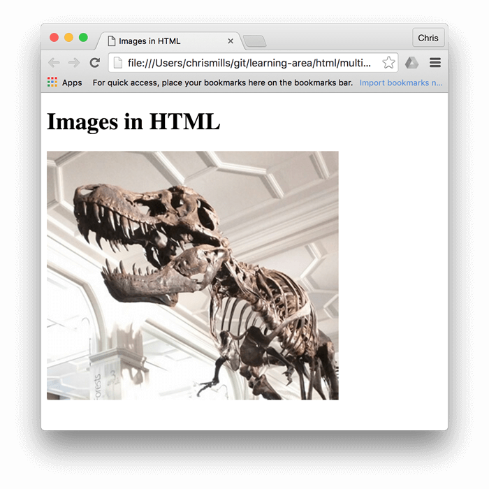 صورة أساسية لديناصور ، مضمنة في المتصفح ، مع كتابة "صور بتنسيق HTML" أعلاها